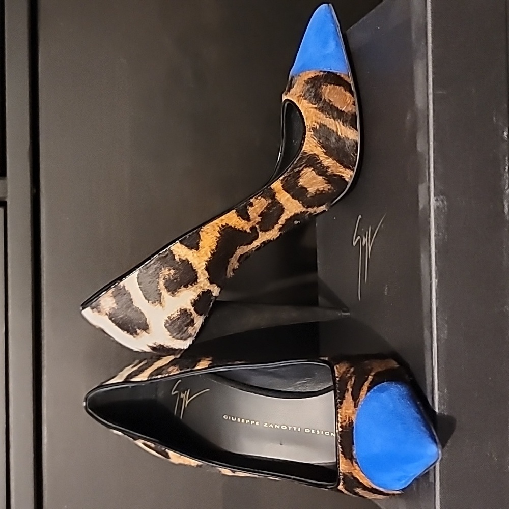 Giuseppe Zanotti